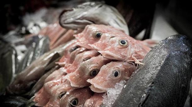 Sea Me Peixaria Moderna