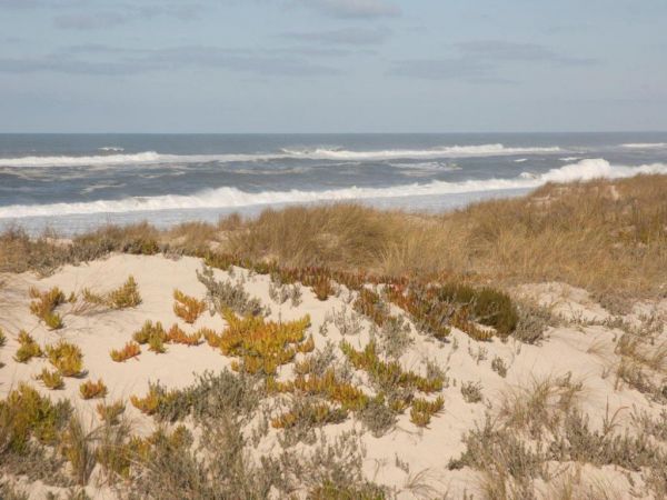 O que fazer em Aveiro os 9 melhores lugares para visitar