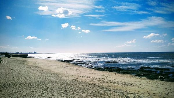 O que fazer em Vila Nova de Gaia os 10 melhores sitios para visitar