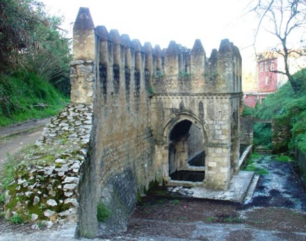 O que fazer em Santarém os 15 melhores locais para visitar